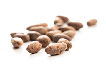 Dried cocoa beans