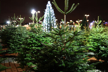 Drzewko świąteczne choinka przygotowana na święta bożego narodzenia. 