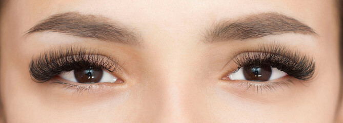 Obraz premium Eyelash extensions. Close-up of the eyes with thick black eyelashes. Macro. Expressive look