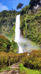 Scenic view of Salto El Leon waterfall and green vegetation, Pucon, Chile.
