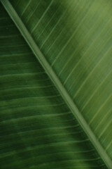 leaf texture makes a nice groove