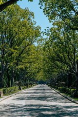 water city Shaoxing wupeng boat and landmark buildings