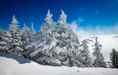 Fototapeta na wymiar Frozen, amazing snow scenery 