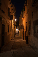 Fototapeta premium View of a narrow street in the old town of Plasencia illuminated by the light of the street lamps at night, Caceres, Extremadura, Spain