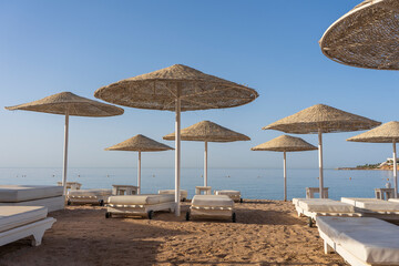 Luxury sand beach with beach chairs and white straw umbrellas in tropical resort in Red Sea coast in Egypt, Africa