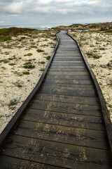 wooden walkway path over sand dunes to coastal shoreline of Monterey Bay on Pacific coast of...