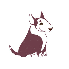 Bull terrier in flat style. A funny dark dog with white spots. The dog is sitting. Vector illustration isolated.
