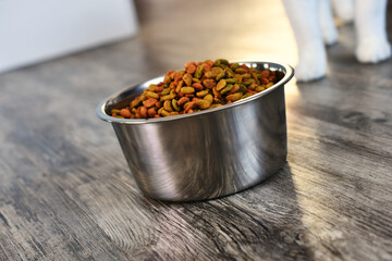 A close up image of a silver metal cat food dish with multi colored cat food and cat feet in the background. 