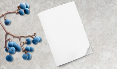 Table with white blank sheets of paper, blackthorn berries.