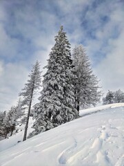 Obraz premium winter landscape on a large hill in the zurich oberland. Winter atmosphere with lots of snow and a view of the alps. 