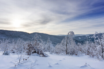 Obraz premium Winter mountain landscape, trees covered with hoarfrost and snow mountains and dramatic clouds in the sky. Kremnica Mountains, Slovakia.