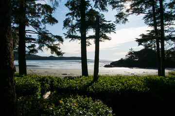 Bright summer day on the beach with lush greenery all around it