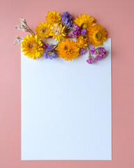 White paper blank on pink background decorated with dry flowers. 