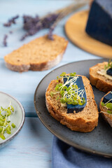 Bread sandwiches with blue lavender cheese and mustard microgreen on blue, side view, selective focus.