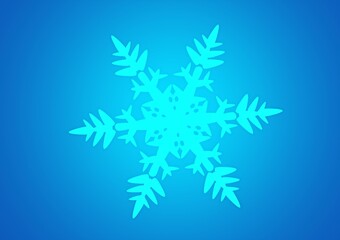 Natural Christmas snowflake on background for design.