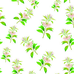 Spring flowers print. Seamless floral pattern. Plant design for fabric, cloth design, covers, manufacturing, wallpapers, print, gift wrap and scrapbooking Free Download Vector