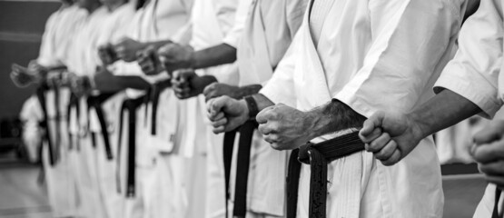 Karate master in a white kimono and with a black belt, stands in front of the formation of his...