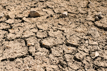 Dry cracked soil in a field during drought. Global warming problem. Ecology issue. Earth dying concept. Effect of water shortage on agriculture industry. Warm color.