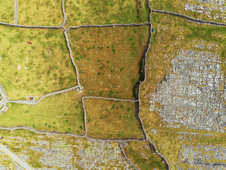 Aerial view on stone fences green fields of Aran islands