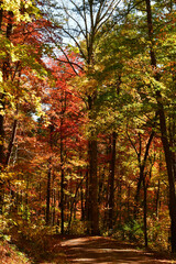 Autumn in Cades Cove, Tenneesee