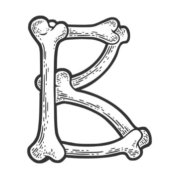 letter B made of bones sketch engraving vector illustration. Bones font. T-shirt apparel print design. Scratch board imitation. Black and white hand drawn image.