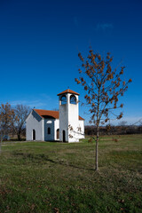 Fototapeta premium The dog is playing in the yard.