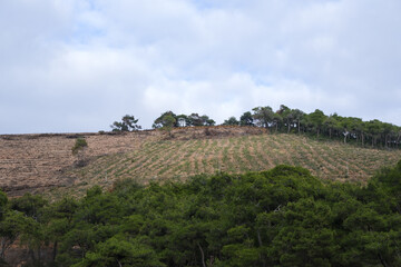 Beautiful view of the hills after fire under the cloudy stormy sky
