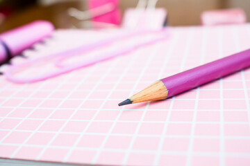 Graphite fuchsia pencil close up on white and pink quadrille notebook cover.