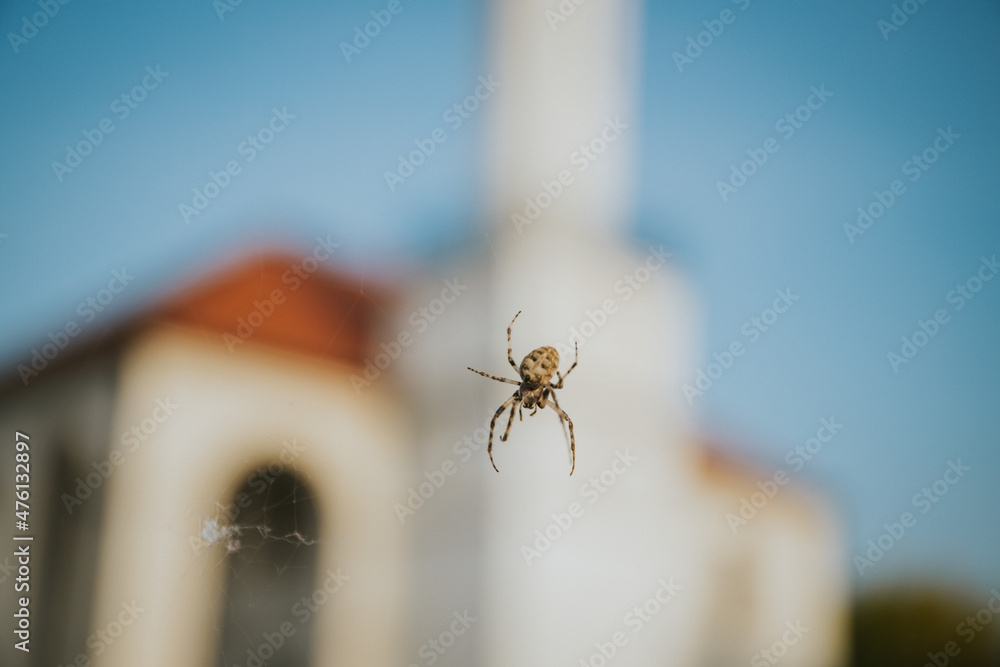 Sticker Closeup of a spider hanging from a spiderweb