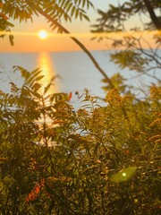 Sunrise over the bluffs