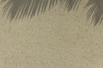 shadow of palm tree leaves on sand background top view with copy space