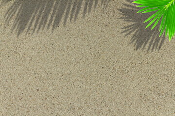 shadow of palm tree leaves on sand background top view with copy space