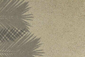 Fototapeta na wymiar shadow of palm tree leaves on sand background top view with copy space