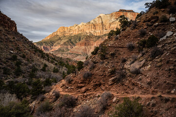 Obraz premium Watchman Trail snakes around hillside with sunrise lighting distant cliffs