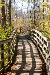 Wooden bridge on nature walk through forest in Rondeau Provincial Park, Ontario, Canada.