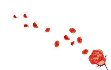 赤いバラの花びらが舞い散るイラスト