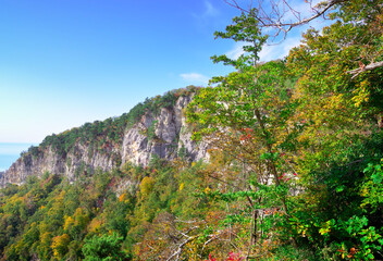 Eagle rocks in the autumn forest