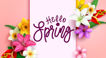 Hello spring vector template design. Hello spring typography text in pink space with colorful flowers like lily, daffodil and heliconia elements for floral season greeting. Vector illustration.
