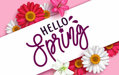 Spring vector template design. Hello spring typography text in white card space with chamomile and lily flowers for floral greeting seasonal decoration. Vector illustration.
