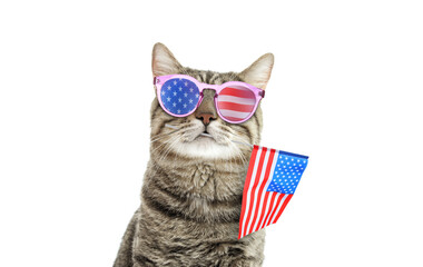 4th of July - Independence Day of USA. Cute cat with sunglasses and American flag on white...