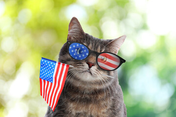 4th of July - Independence Day of USA. Cute cat with sunglasses and American flag on blurred green...