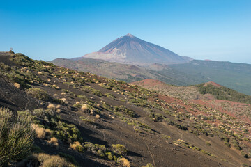 Fototapeta premium Beautiful scenery of Teide National Park - Santa Cruz de Tenerife, Canary Islands, Spain