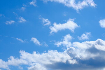 Obraz premium 美しい青空