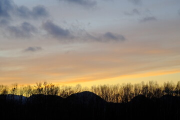 美しい夕暮れのシルエット