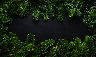 Christmas tree fir branches on the chalk board. Christmas background.
