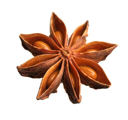 Dry anise star with seeds isolated on white