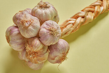 Garlic heads braid on a yellow background.