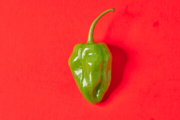 Green tusta chili on a red background. Mexican spicy. Extreme spiciness.