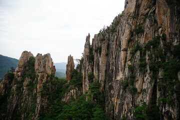 Fototapeta premium 두타산, doota mountain, Republic of Korea