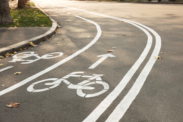 Obraz premium Two way bicycle lane with white signs on asphalt